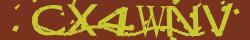 Saisissez les caractères de l'image