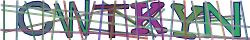 Saisissez les caractères de l'image