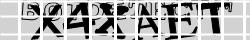 Saisissez les caractères de l'image