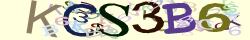 Saisissez les caractères de l'image