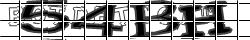Saisissez les caractères de l'image