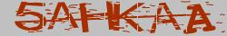 Saisissez les caractères de l'image