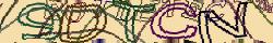 Saisissez les caractères de l'image