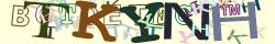 Saisissez les caractères de l'image