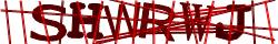 Saisissez les caractères de l'image