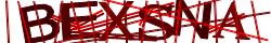 Saisissez les caractères de l'image