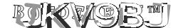 Saisissez les caractères de l'image