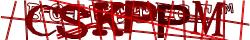 Saisissez les caractères de l'image