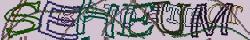 Saisissez les caractères de l'image