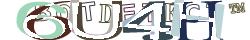 Saisissez les caractères de l'image