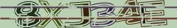 Saisissez les caractères de l'image