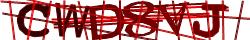 Saisissez les caractères de l'image
