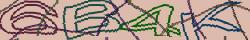 Saisissez les caractères de l'image