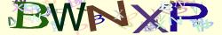 Saisissez les caractères de l'image
