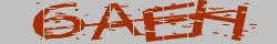 Saisissez les caractères de l'image