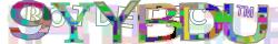 Saisissez les caractères de l'image