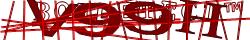 Saisissez les caractères de l'image