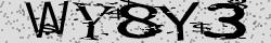 Saisissez les caractères de l'image