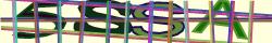 Saisissez les caractères de l'image